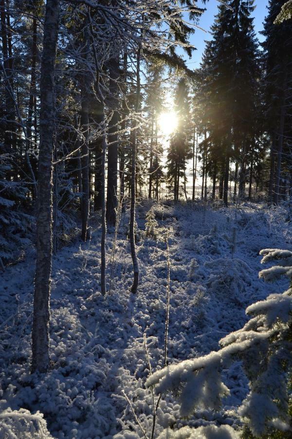 Hotel Kujanpaeae | Paajoen Vuokramoekit Himos Exteriér fotografie