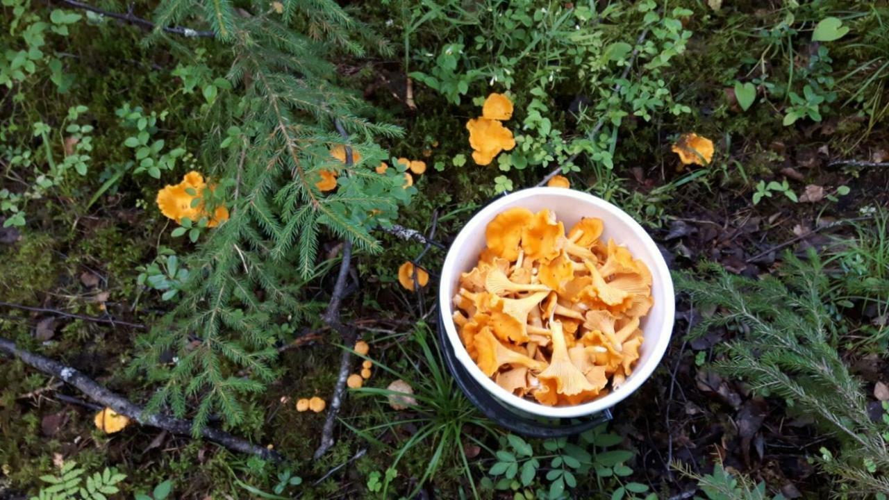 Hotel Kujanpaeae | Paajoen Vuokramoekit Himos Exteriér fotografie